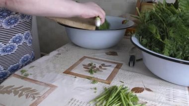 Aşçı taze dereotundan hazırlıklar yapar.