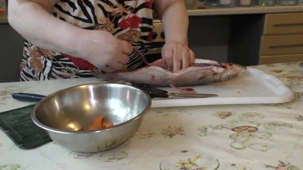 Cook Cleans Raw Fish Knife — Stock Video