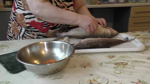 Kucharz Czyści Surowe Ryby Nożem — Wideo stockowe