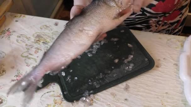 Повар Чистит Сырую Рыбу Ножом — стоковое видео