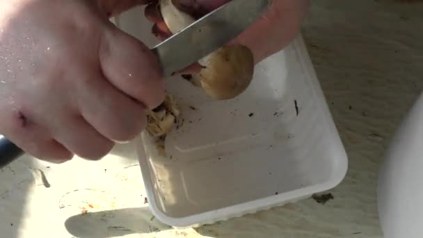 Een Vrouw Reinigt Champignons Met Een Mes — Stockvideo