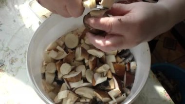 Bir kadın mantarları bıçakla temizler.