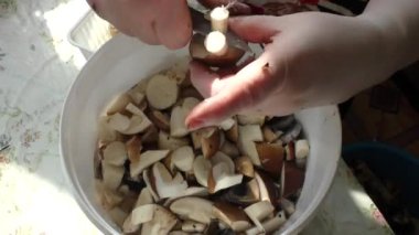 Bir kadın mantarları bıçakla temizler.