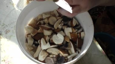 Bir kadın mantarları bıçakla temizler.