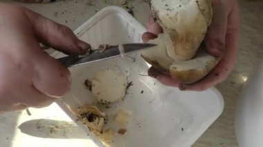 Bir kadın mantarları bıçakla temizler.
