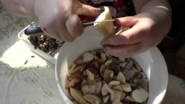 Bir kadın mantarları bıçakla temizler.