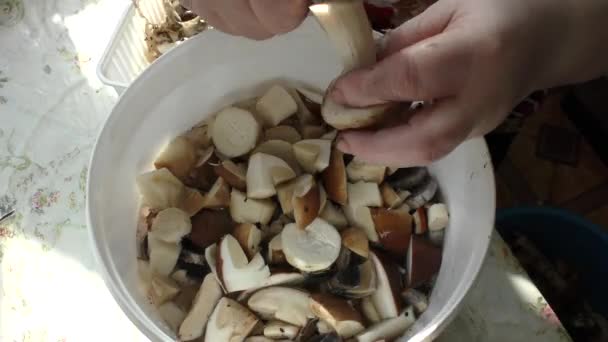 一个女人用刀擦蘑菇 — 图库视频影像