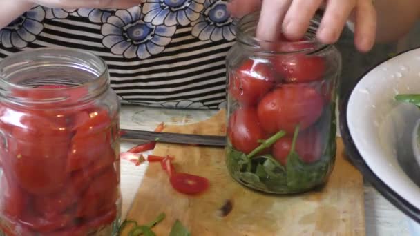 Köchin Konserviert Rote Tomaten — Stockvideo