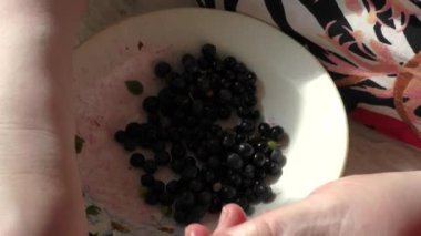 Bir kadın çöpten böğürtlen temizler