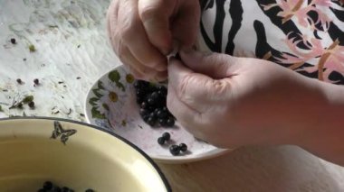 Bir kadın çöpten böğürtlen temizler