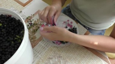 Bir kadın çöpten böğürtlen temizler