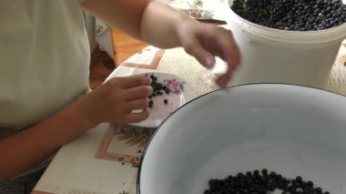 Bir kadın çöpten böğürtlen temizler