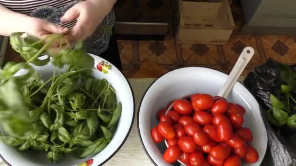 Köchin Konserviert Rote Tomaten — Stockvideo