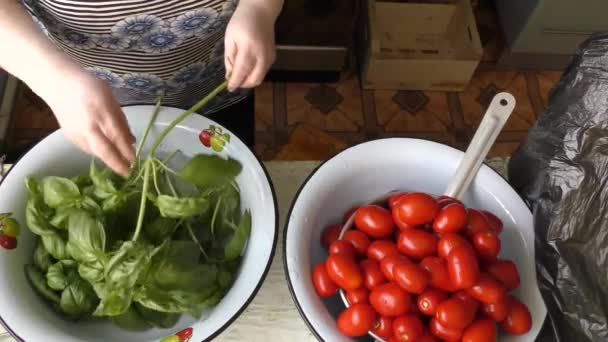 Kobieta Szef Kuchni Konserwuje Czerwone Pomidory — Wideo stockowe