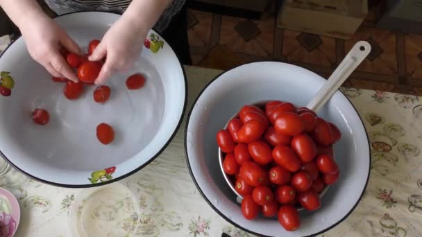 Cozinheiro Lava Água Tomates Vermelhos — Vídeo de Stock