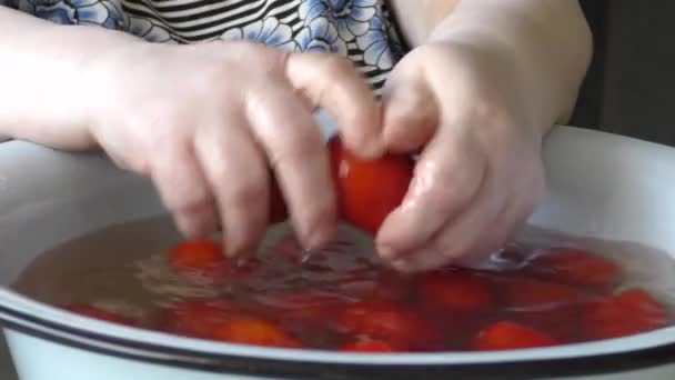 Cocinero Cthe Lava Agua Tomate Rojo Lava Agua Los Tomates — Vídeos de Stock