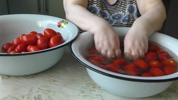 Kucharz Myje Się Wodzie Czerwony Pomidor Myje Się Wodzie Czerwone — Wideo stockowe