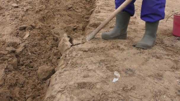 Man Gräver Marken Med Spade — Stockvideo