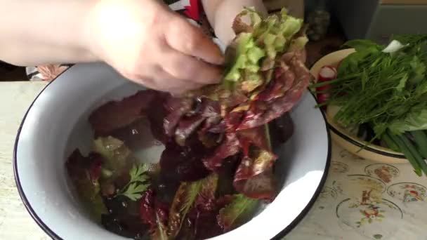 Chef Mujer Prepara Ensalada Verduras — Vídeos de Stock