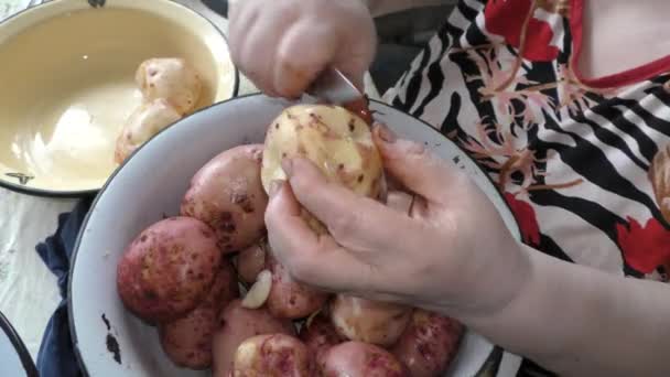 Une Femme Épluche Les Pommes Terre Avec Couteau Épluche Les — Video