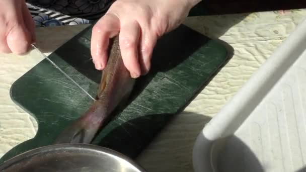 Una Donna Cuoca Taglia Pesce Crudo Con Coltello Concetto Cibo — Video Stock