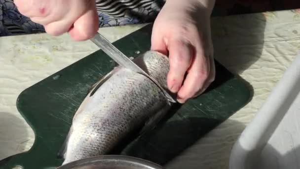 Kucharka Kroi Surowe Ryby Nożem Koncepcja Zdrowej Żywności — Wideo stockowe