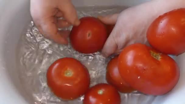 女性シェフがトマトを水で洗います 健康的な食のコンセプト — ストック動画