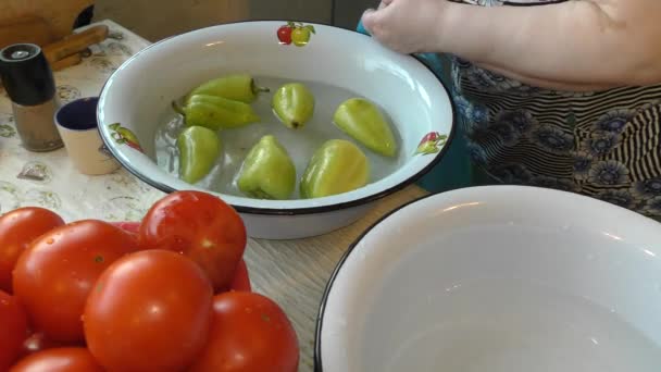 Wäscht Der Koch Das Gemüse Wasser Gesundes Ernährungskonzept — Stockvideo
