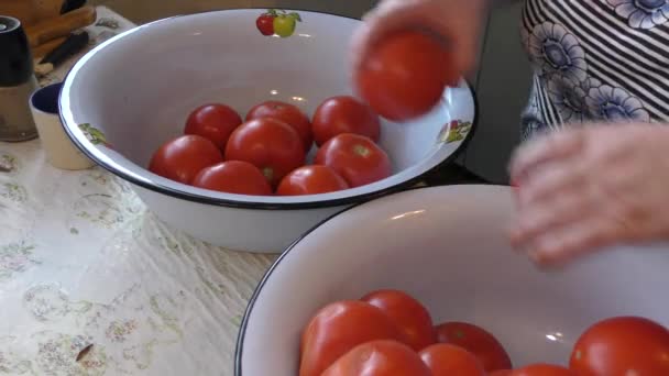 料理人は野菜を水で洗います 健康的な食のコンセプト — ストック動画