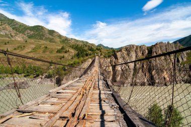 Dağ nehrinin üzerinde asılı köprü Katun, Altai