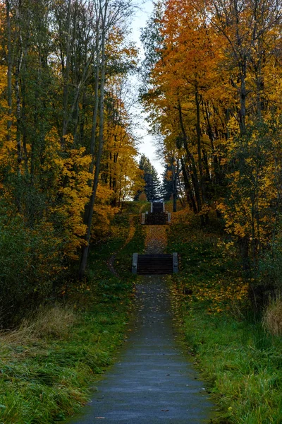 通往花岗岩楼梯的沥青路,两侧是普尔科沃天文台公园的树木 — 图库照片