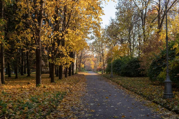 Estrada com folhas caídas e lanternas através de um parque de outono Pulkovo — Fotografia de Stock