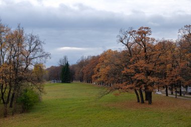 Bulutlu havalarda parkta Sonbahar çayır