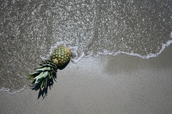 Ananas Stranden Träffas Vågorna Havet Begreppet Semester Vila Avkoppling — Stockfoto