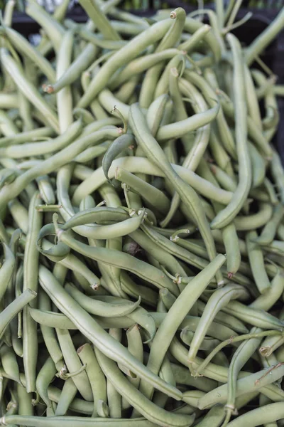 箱の中に緑の豆の山 野菜のコンセプト — ストック写真