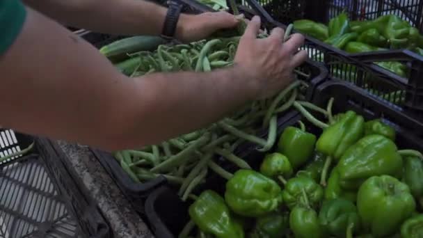 Comerciante Colocando Vegetais Greengrocer — Vídeo de Stock