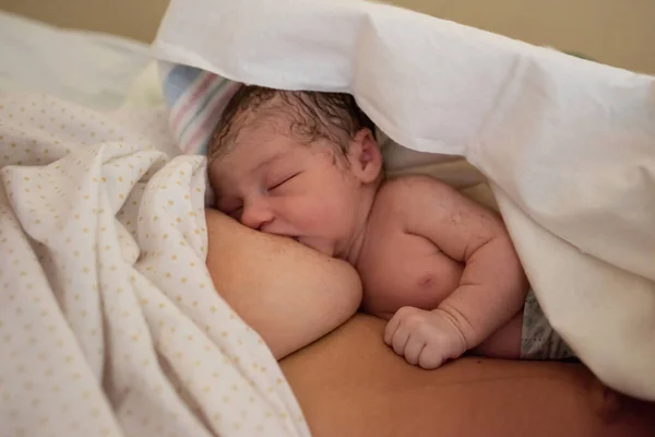 Mujer Morena Joven Amamantando A Su Hija Recien Nacida Concepto De Madres Vivir Infancia Stock Photo