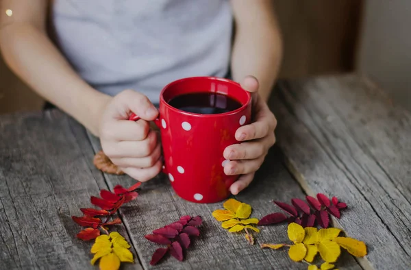Red Cup of tea in the hands of a child. Old rustic wooden table, background. Autumn leaves of wild rose on the table.