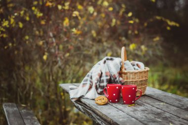 Sonbaharda doğada kamp yapmak. Hasır sepet, ekose ekose ve ahşap bir masada iki fincan çay ile sakin bir hayat..