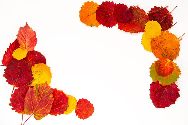 Autumn composition of leaves. Frame made of yellow and red leaves. Copy space.