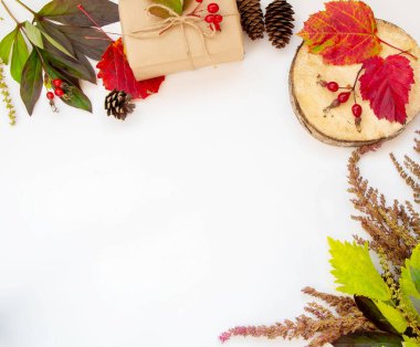 Sonbahar kompozisyonu. Düz örgü ekose, sonbahar yaprakları ve çimenler, beyaz arka planda çam kozalakları. Boşluğu kopyala.