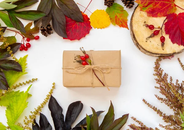 Осенняя Композиция Подарок Плоской Бумаги Вязаная Клетка Осенние Листья Трава — стоковое фото