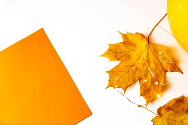 Composition Automne Pose Plate Feuille Érable Automne Feuille Papier Orange — Photo