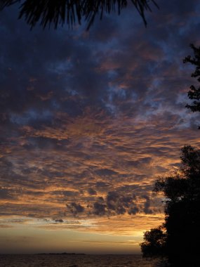 Renkli sonbahar günbatımı