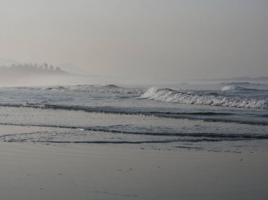 Long Beach'te sisli sabah, Pacific Rim Ulusal Parkı, Vancouver Adası, British Columbia, Kanada
