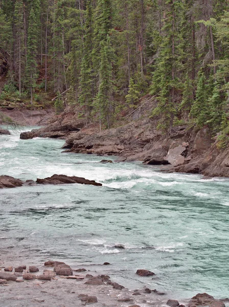 Kopající koňská řeka, ledovcová řeka v kanadských Rockies, národní park Yoho, Britská Kolumbie, Kanada — Stock fotografie