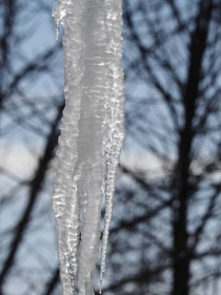 Nahaufnahme eines großen Eiszapfens, der vom Dach hängt, mit kahlen Ästen und blauer Himmelsilhouette im Hintergrund — Stockfoto