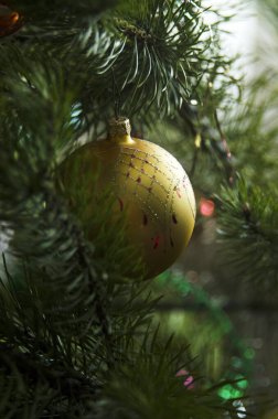 Bir dalda Noel ağacı süslemesi