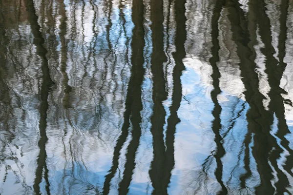 Деревья Небо Облаками Отражаются Озерной Воде Красивый Естественный Спокойный Фон — стоковое фото