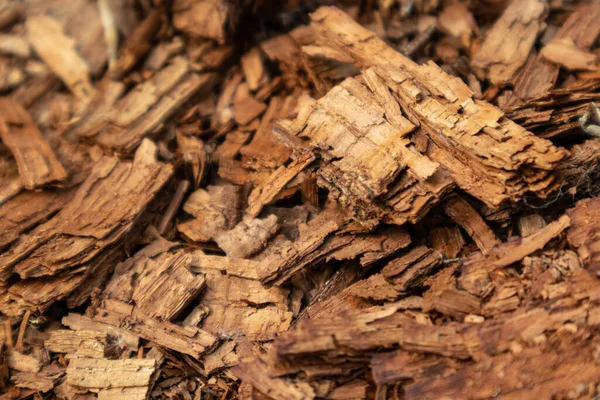 Tree shredded chips macro close up wooden texture. Brown detailed natural material macro old wood building industry